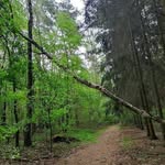 Marc Renaud - @marcrenaud699 - Instagram