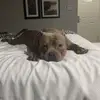 marc_rendon02 - @marc_rendon02 - TikTok