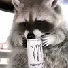 Marco - @marco.rendon59 - TikTok