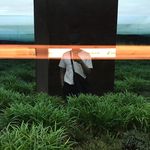 Marcus Riggs - @marcusriggs - Instagram