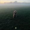Marc Robb - @marc.robb - TikTok