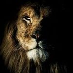 Marc Roberson - @roberson8576 - Instagram