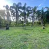 marcrobertsgamefarm - @marcrobertsgamefarm - TikTok