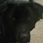 Marc Roche - @marcroche07250 - Instagram