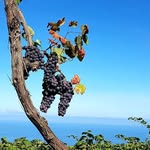 Marc Rochefort - @marc.rochefort.787 - Instagram