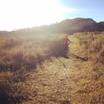 Marc Rosenstein - @marc_rosenstein - Instagram