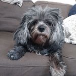 Jean Marc Royer - @jeanmarcroyer34 - Instagram