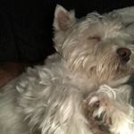 Marc-Andre Royer - @royer_1967 - Instagram
