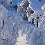 Marc Royer - @marc.royer.509 - Instagram