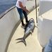 Marc Rupp - Facebook