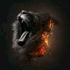 Marc Salem423 - @marcsalem0 - TikTok
