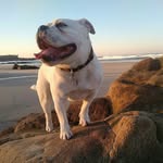 Marc Salgado - @marcsalgado5 - Instagram