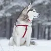 Marc Salvin - @marc.salvin - TikTok
