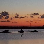 Marcello Santini - @marcello__santini - Instagram