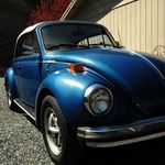 Marci Sarver - @sarvermarci - Instagram
