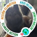 Marc Schaffer - @schaffer5606 - Instagram