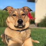 Marc Schaffer - @marc.s80 - Instagram