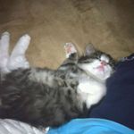 Marc Scherer - @marc201281 - Instagram