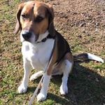 Marc Schilling - @marcschilling2 - Instagram