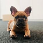 Marc Schilling - @fietevonderkueste - Instagram