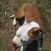 Marc Schur - Facebook