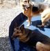 Marc Schutte - Facebook