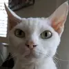 marciaschutteacosta1 - @marciaschutteacosta1 - TikTok
