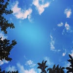 Marc Schwalb - @chirpchirp26 - Instagram