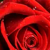 marcseaman - @marcseaman - TikTok