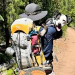 Marc Sears - @marc.the.bark - Instagram