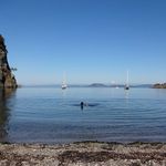 Marc Seligson - @marcseligson - Instagram