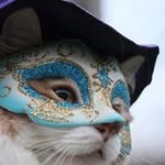 Jean-marc Sergent - @jeanmarcsergent - Instagram