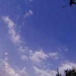 marco sergenti - @marco.sergenti - Instagram