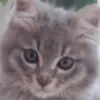 Marcos Eto - @marcos.eto5 - TikTok