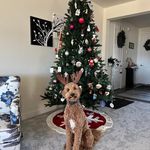 Marc Sheer - @mesheer52 - Instagram