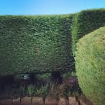 Marc Shields - TEG - @the_electric_gardener - Instagram