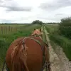 Marc Simonetti947 - @marcsimonetti947 - TikTok