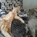 Marcia Simonton - Facebook