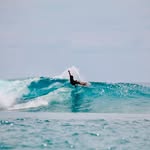 Marc Smith - @surf_ability - Instagram
