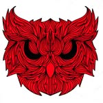 Marc Spitz - @redowlgin - Instagram