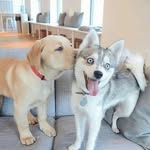 Marc Spitz - @marc_amir_spitz - Instagram