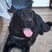 Marc Spoormans - Facebook