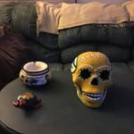 William Marc Steger - @william.steger.71 - Instagram