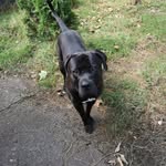 Marc Steinbach - @steinbach5483 - Instagram