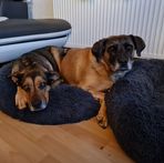 Marc Steiner - Facebook