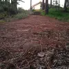marc steve - @marc.steve1 - TikTok