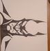 Mark Stevwing - Facebook