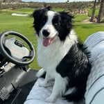 Marc Still - @marcstill2 - Instagram