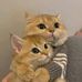 Marc Stiller - Facebook