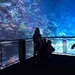 Marc Stocker - @marc.stocker.79 - Instagram